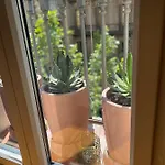 Petit Rossello * Barcelona